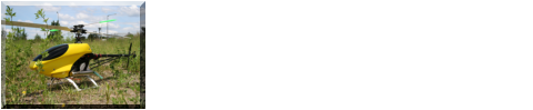 Raptor 50V2 von Thunder Tiger Der Standardhubschrauber in meiner Staffel